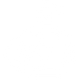No Synthetic Fragrance